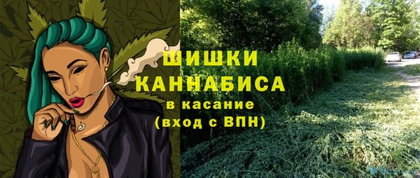 трава Горнозаводск