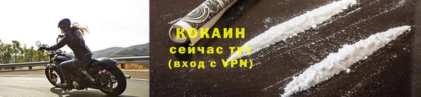 крисы Горняк