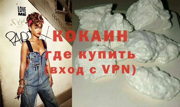 крисы Горняк