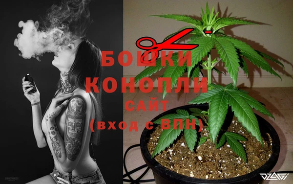 кокаин Гусь-Хрустальный