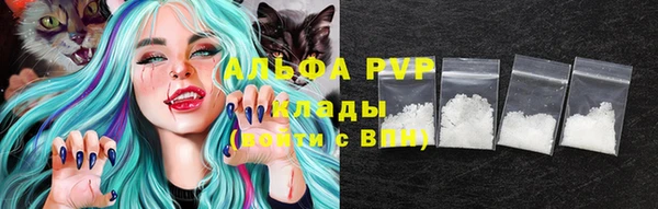 крисы Горняк