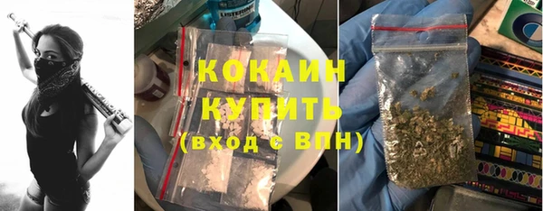 крисы Горняк