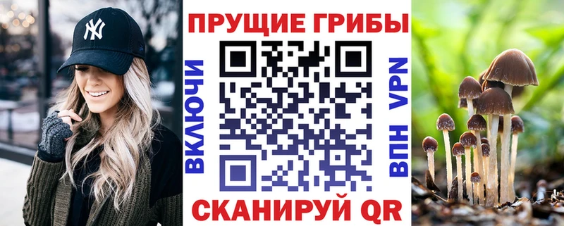 купить наркотик  Могоча  Псилоцибиновые грибы Cubensis 